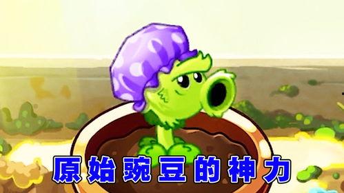 娱乐吃瓜酱豌豆射手